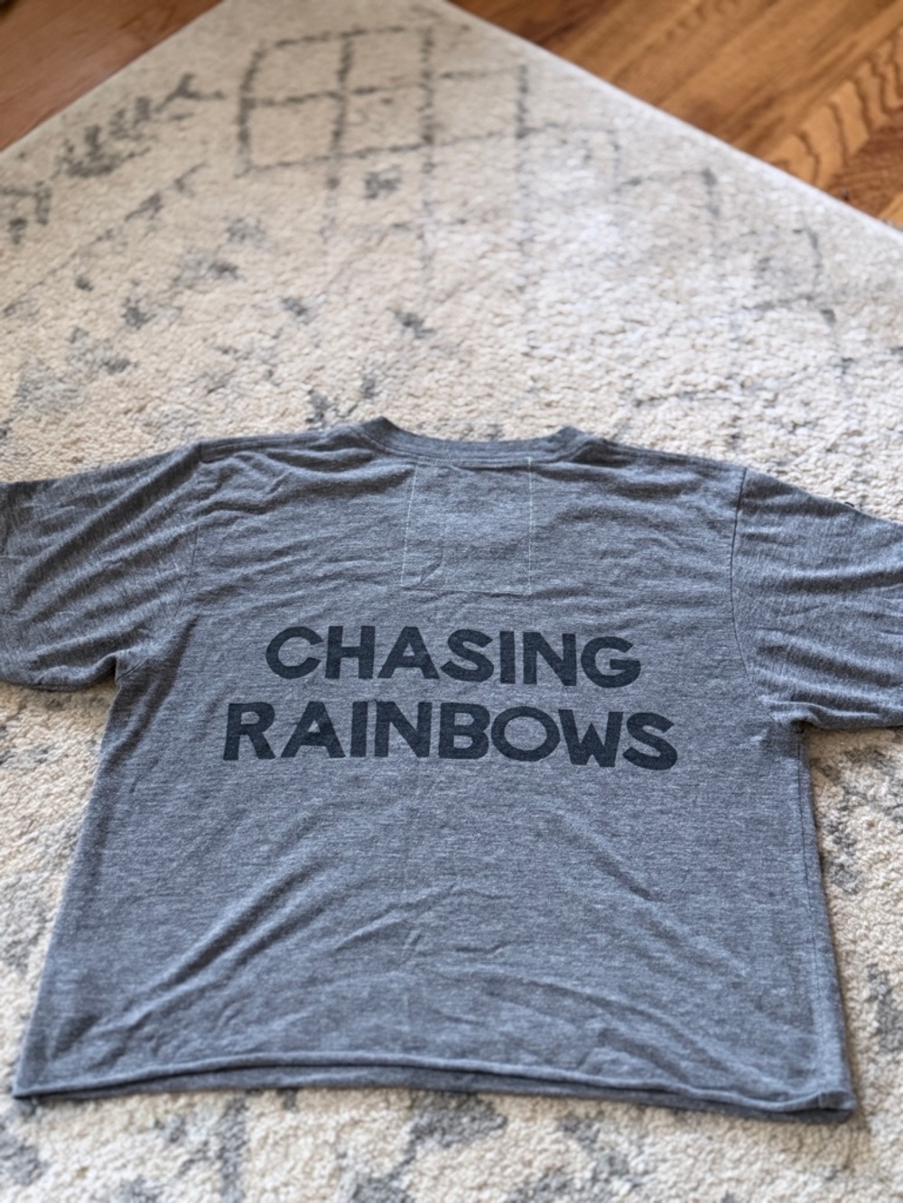 Rare Aviator Nation Gray Chasing Rainbows Mountain Tee - Picture 4 of 6
